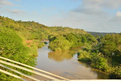 DSC_4351 (Large).JPG